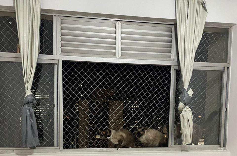 Instalação de rede de proteção em janela de apartamento BH